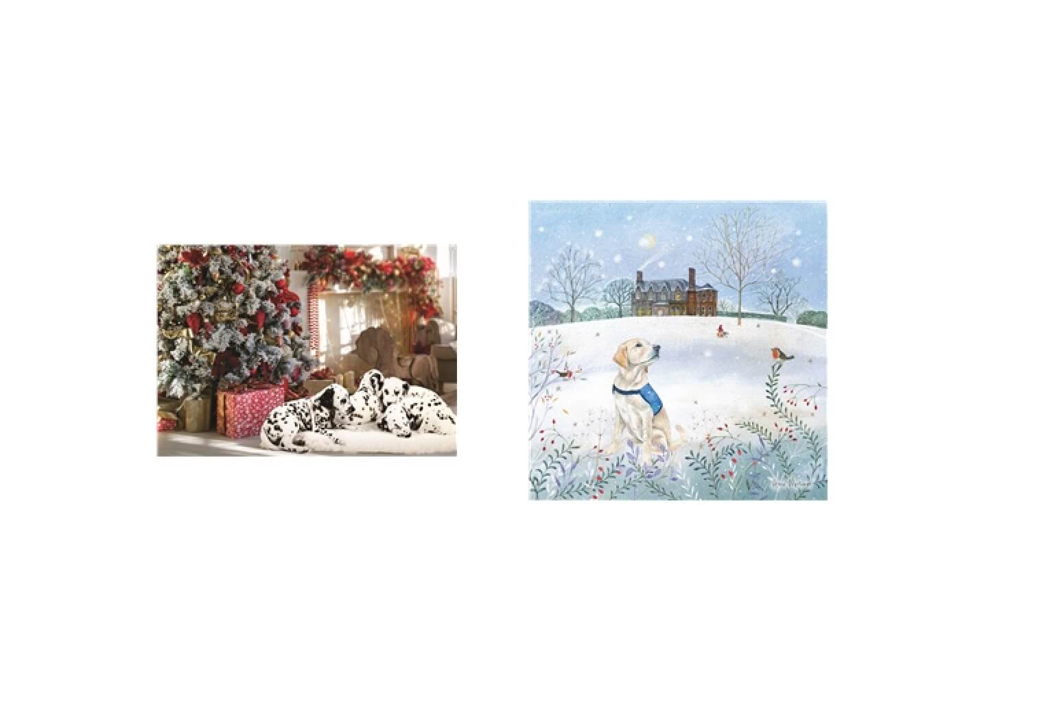 Christmas Cards & Wrapping Paper
